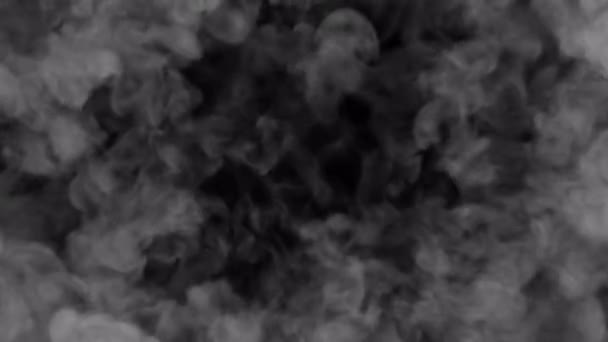 烟雾冲击波转换揭示了在 背景下隔离的叠层 — 图库视频影像
