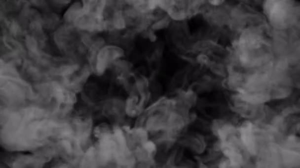 Καπνός Shockwave Blowing Μετάβαση Αποκαλύπτουν Επικάλυψη Απομονώνονται Άλφα Φόντο — Αρχείο Βίντεο