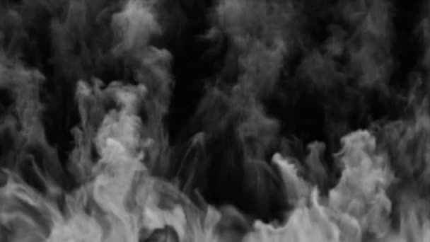 Smoke Schokgolf Blazen Overgang Onthullen Overlay Geïsoleerd Alfa Achtergrond — Stockvideo