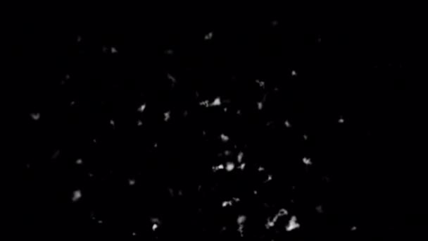 4Kでアルファ背景に隔離された雪吹き爆発 — ストック動画