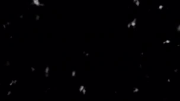 4Kでアルファ背景に隔離された雪吹き爆発 — ストック動画