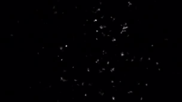 Snöblåsning Explosion Isolerad Alfa Bakgrund — Stockvideo