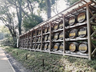 Japonya 'daki Meiji Jingu Tapınağı' nda şarap mayalamak için klasik tahta fıçılar..