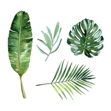 Suluboya yeşil tropik yaprak elementleri koleksiyonu