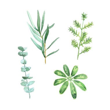 Suluboya yeşil yaprak ögeleri koleksiyonu