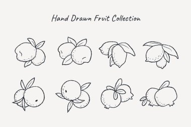 El çizimi şirin meyve koleksiyonu