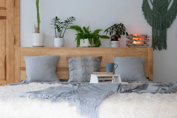 Oreillers Gris Sur Lit Bois Dans Une Chambre Confortable Hôtel — Photo