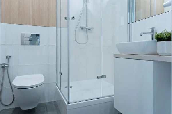 Minimalist Banyo Beyaz Fayanslar Tuvalet Duş Seramik Lavabo Dolapta Musluk — Stok fotoğraf