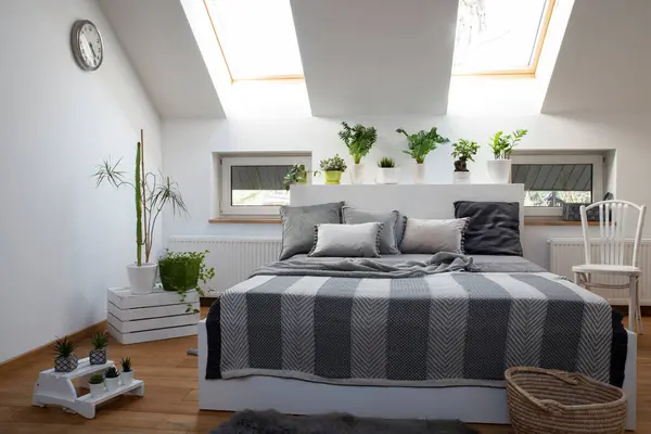 Cozy and bright interior of the bedroom in the attic apartment in white and grey colors. Bedspread in stripes and plants as a decor of home