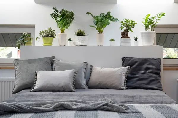 Oreillers Plantes Dans Chambre Coucher Dans Style Scandinave Blanc Gris — Photo