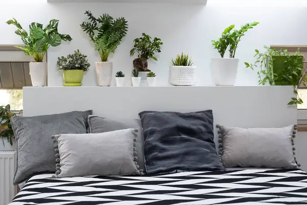 Chambre Avec Plantes Lit Avec Oreillers Gris Dans Style Scandinave — Photo