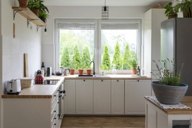 Mutfak mobilyaları, beyaz dolapları ve çekmeceleri olan modern mutfak. Ahşap tezgah ve bitkiler mutfağın iç kısımlarında..