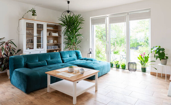 Comfortable interior of living room with design sofa, wooden floor, big window and plants. Room in hotel with space and scandinavian decoration. Houseplant in studio apartment.