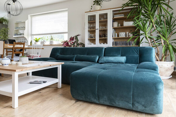 Modern sofa in interior of living room with wooden floor and white furniture. Wooden floor in cozy apartment. Nobody