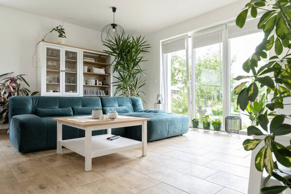 Comfortable interior of living room with design sofa, wooden floor, big window and plants. Room in hotel with space and scandinavian decoration. Houseplant in studio apartment.