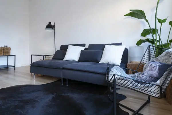 세련된 거실에 베개와 편안한 식물과 스칸디나비아 인테리어 현대적인 — 스톡 사진