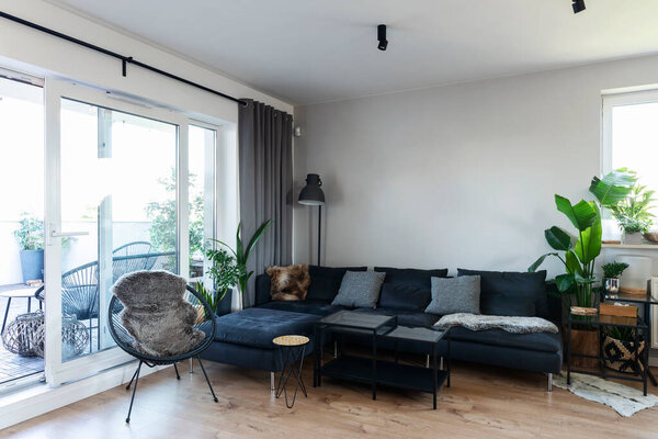 Modern living room with comfortable sofa and armchair and big window with terrace. White wall, plants and wooden floor in stylish room in apartment.