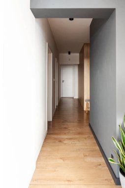 Bir otel odasında koridor. Ahşap zeminli, beyaz kapılı ve duvarlı koridorun içi. Parke ile yeni bir daire. Dikey.