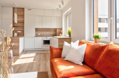 Luxurious and modern interior of living room with red sofa with pillows, wooden floor and window. Open space with kitchen and stylish design. Cozy apartment.