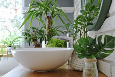 Endüstriyel tarzda banyo, duvarında beyaz tuğlalar, şık ayna, yeşil bitkiler, seramik lavabolu ahşap tezgah. Bitkili kaplıca 