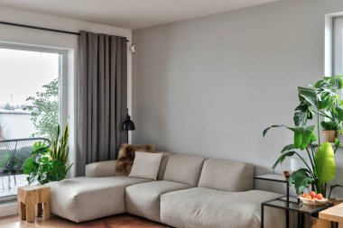 Pencereli oturma odasının iç kısmında yastıkları olan rahat gri bir kanepe. Odasında ahşap sandalye ve yeşil bitki var. İçi boş duvar.