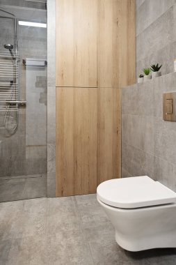 Seramik tuvaletli modern banyo ve duvarında cam ve kiremitlerle duş. Yeni iç tasarım. Dikey.