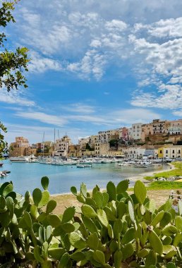 Sicilya 'daki köyün limanı ve mimarisi ile Akdeniz kıyısının manzarası. Yeşil kaktüsü ve gökyüzü olan güzel bir manzara. Castellammare del Golfo.
