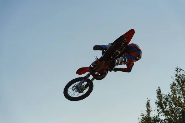 Motocross Freestyle Salto Nível Topos Árvore — Fotografia de Stock