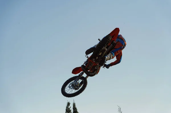 Motocross Freestyle Salto Nível Topos Árvore — Fotografia de Stock