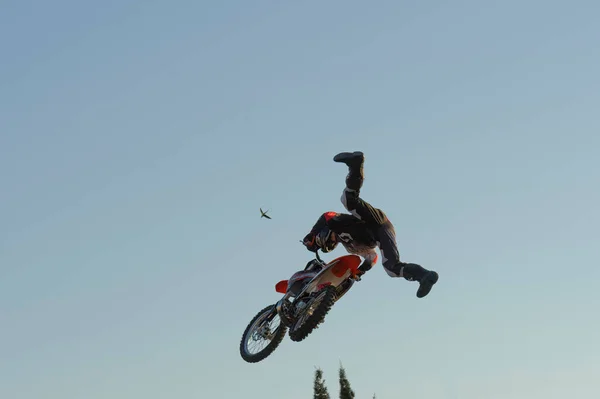 Motocross Freestyle Rider Catching Bird — Stock Photo, Image