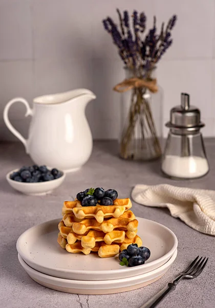 Food Photography Waffles Blueberries Breakfast Milk Belgian Snack Dessert Sugar — Stock Photo, Image