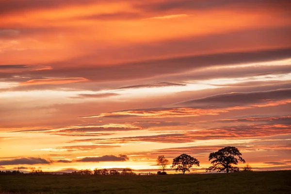 Landscape photography of stunning sunset, field, trees, sky, clouds