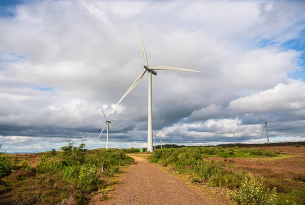 Rüzgar Türbininin Enerjinin Ekolojinin Jeneratörün Fotoğrafı — Stok fotoğraf