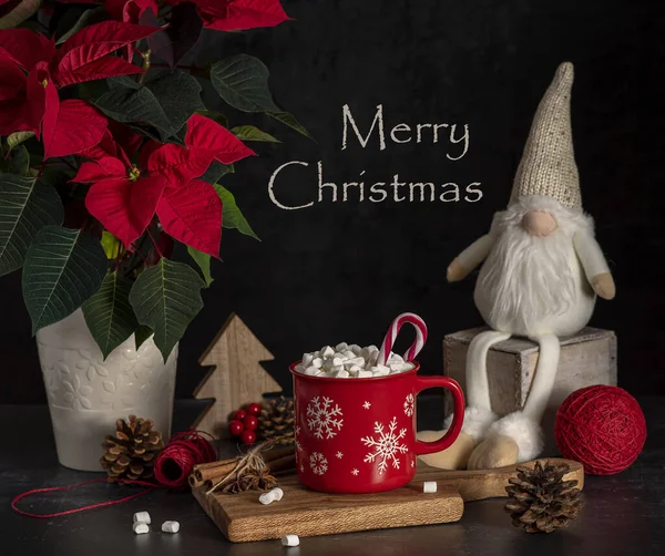 Photography Cocoa Chocolate Marshmallow Poinsettia Cinnamon Candy Gnome Christmas Decoration — Stock Photo, Image