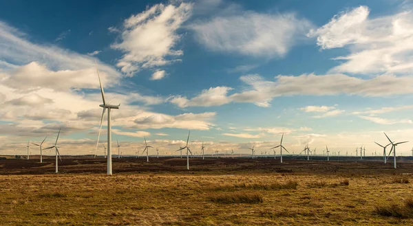Yel Değirmeni Rüzgâr Tarlası Enerji Ekoloji Güç Elektrik — Stok fotoğraf