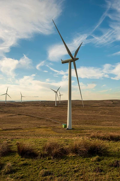 Yel Değirmeni Rüzgâr Tarlası Enerji Ekoloji Güç Elektrik — Stok fotoğraf