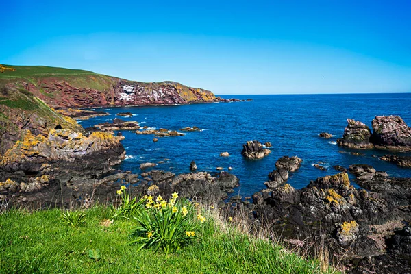 Landscape Photography North Sea Coast Serenity Scenery Panorama Rock Stone — Stock Photo, Image
