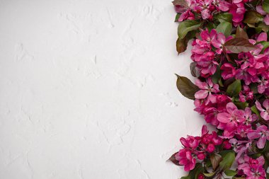 Pembe çiçekler, arka plan, kart, davetiye, zarafet, tazelik, doğal, buket, yapraklar, egzotik, yeşil, yaprak, çiçek, dal