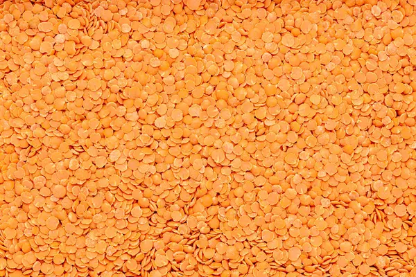Makroaufnahmen Von Rohen Roten Linsen Hülsenfrüchten Grütze Gesundheit Vegetarier Natürlich — Stockfoto