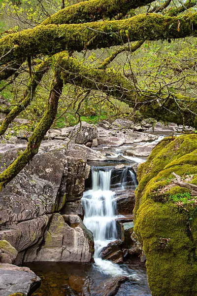 Landschaftsaufnahme Des Bracklinner Wasserfalls Callander Schottland Gelassenheit Landschaft Panorama Wasser — Stockfoto
