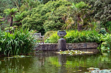 Background photography of botanic garden, park, stone, bench, water, grass, pond, reflection, bush, lily, palm, flower; beauty, peaceful