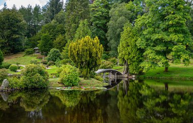 Japon tarzı bahçede köprü ve göletin peyzaj fotoğrafçılığı; park; botanik; nilüfer; su; çim; çalı; çiçek; güzellik;