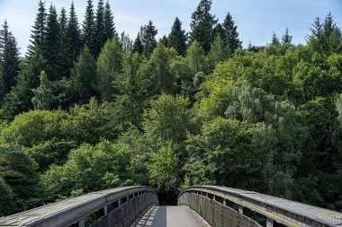 Orman ve yaya köprüsü, köprü, patika; bereket; park; kırsal; yeşillik; çevre, Pitlochry, İskoçya