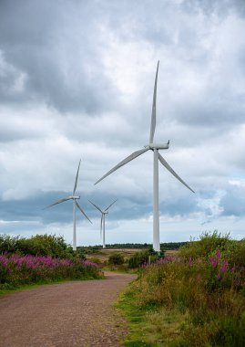 Rüzgar türbininin peyzaj fotoğrafçılığı; rüzgar türbini; rüzgar enerjisi; elektrik üretimi; elektrik; sanayi; yenilik; yeşil enerji; Whitelee Windfarm, İskoçya