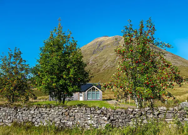 Vadideki ahşap evin peyzaj fotoğrafı Glen Orchy, Beinn Dorain dağı, tepe, patika, manzaralı manzara, Rowan, mavi gökyüzü, seyahat, yürüyüş, tepe yürüyüşü, İskoçya, İngiltere