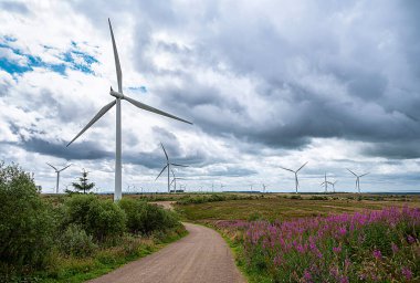 Rüzgar türbininin peyzaj fotoğrafçılığı; rüzgar türbini; rüzgar enerjisi; elektrik üretimi; elektrik; sanayi; yenilik; yeşil enerji; Whitelee Windfarm, İskoçya