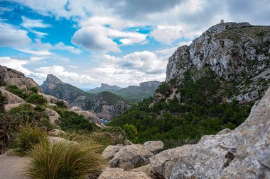 Kayalıkların ve kayalık kıyıların, pelerinin, taşların, ağaçların, Akdeniz kıyılarının, turizmin, tatilin, turizm beldelerinin, İspanya, Mallorca, Formentor 'un manzara fotoğrafları
