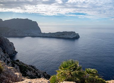 Uçurumların ve kayalık kıyıların peyzaj fotoğrafları, palmiye, koy, taşlar, Akdeniz, turizm, tatil, İspanya, Mallorca, Cala San Vicente