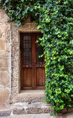 Evdeki yaşlanmış kapı, Valldemossa, Mallorca, İspanya, sarmaşık, tırmanma tesisi, ev kapısı ve kapı eşiği