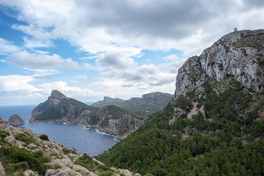 Evdeki terk edilmiş kapının, Valldemossa 'nın, Mallorca' nın, İspanya 'nın, sarmaşık' ın, tırmanma tesisinin, kapıların ve kapıların fotoğrafları.